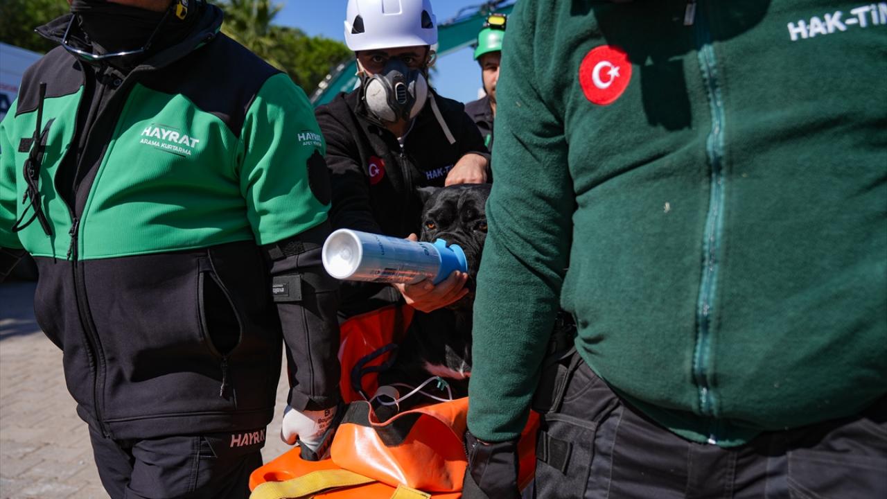 Saha tatbikatında helikopterle yaralı tahliyesi yapıldı