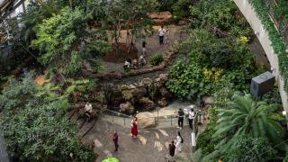 Çin’de orman konseptli alışveriş merkezi