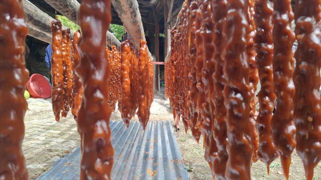 Beypazarı'nda çiftçiler bağ bozumunun ardından cevizli sucuk mesaisine başladı