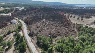 Çanakkale ormanları yeniden yeşillenecek