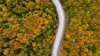 Domaniç Dağları sonbaharın renklerine büründü