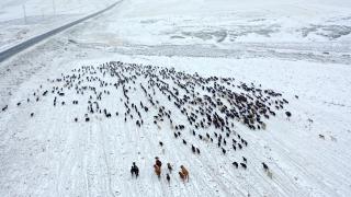 Kars'ta yayladan dönen göçerler kar yağışına yakalandı