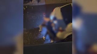 Köpeği tarafından ısırılan kişi yaralandı: O anlar kamerada