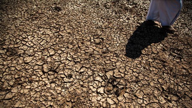 Hindistan, son 100 yılın en kurak haziran aylarından birini yaşadı