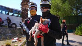 İzmir'de 6,6 büyüklüğünde deprem senaryosuyla tatbikat yapıldı