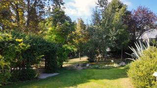 İstanbul’un şifa köşesi: Zeytinburnu Tıbbi Bitkiler Bahçesi