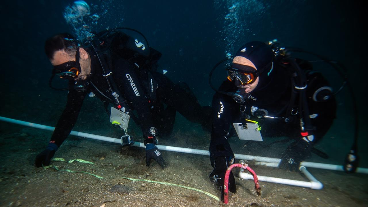 "Marmara`yı yaşatacaksak deniz çayırlarını da korumamız gerekiyor"
