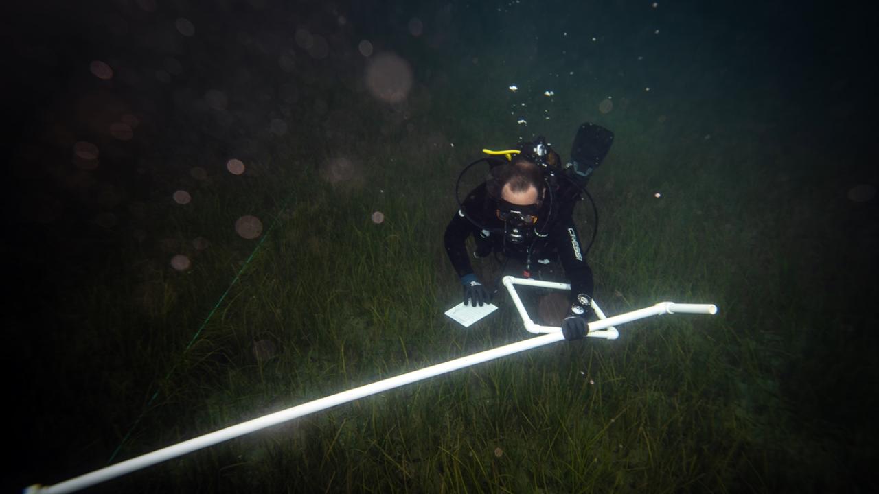 "Kritik bölgelerde koruma politikalarıyla onların geleceğini güvenceye alacağız"