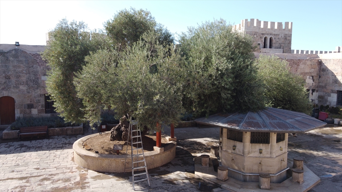 "Gözümüz gibi bakıyoruz"