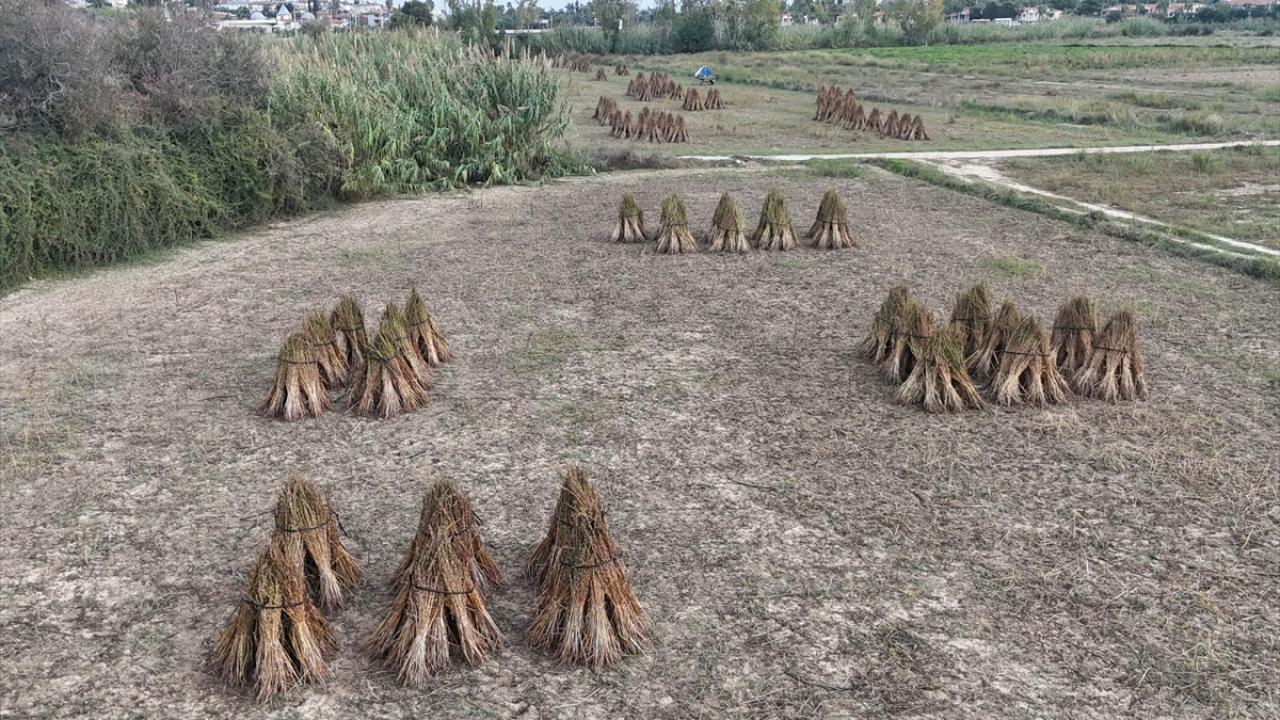 Yağ oranı ve lezzetiyle farklı