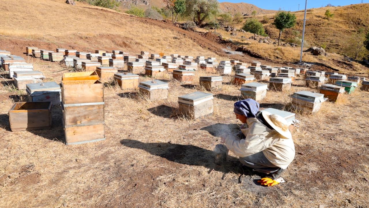 Üretim için şehirden köyüne dönerek arıcılığa başladı