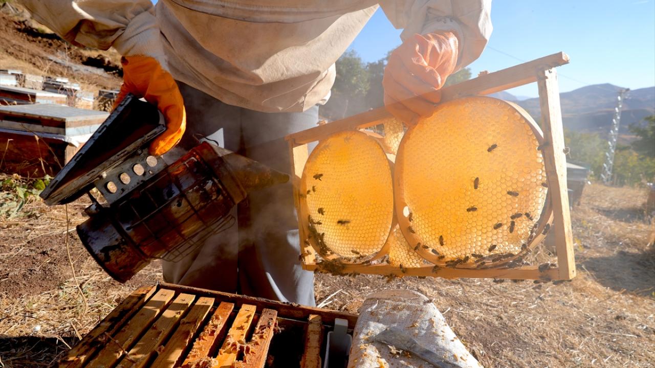 "Bir kadın olarak tarımsal üretime katkı sağlamak istedim"