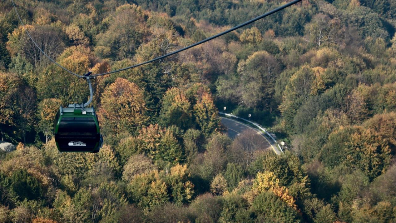 "Ağaçlara dokunmadan tasarlandı