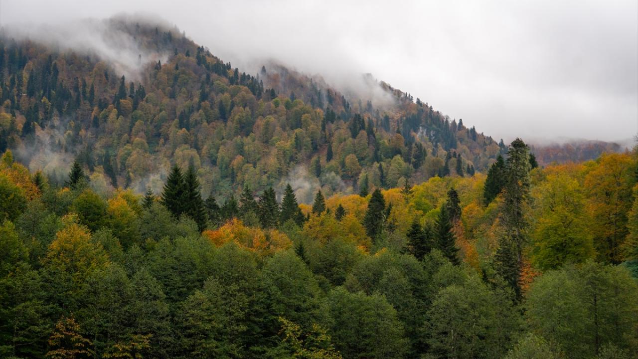 Borçka'daki Karagöl, güz renklerine büründü