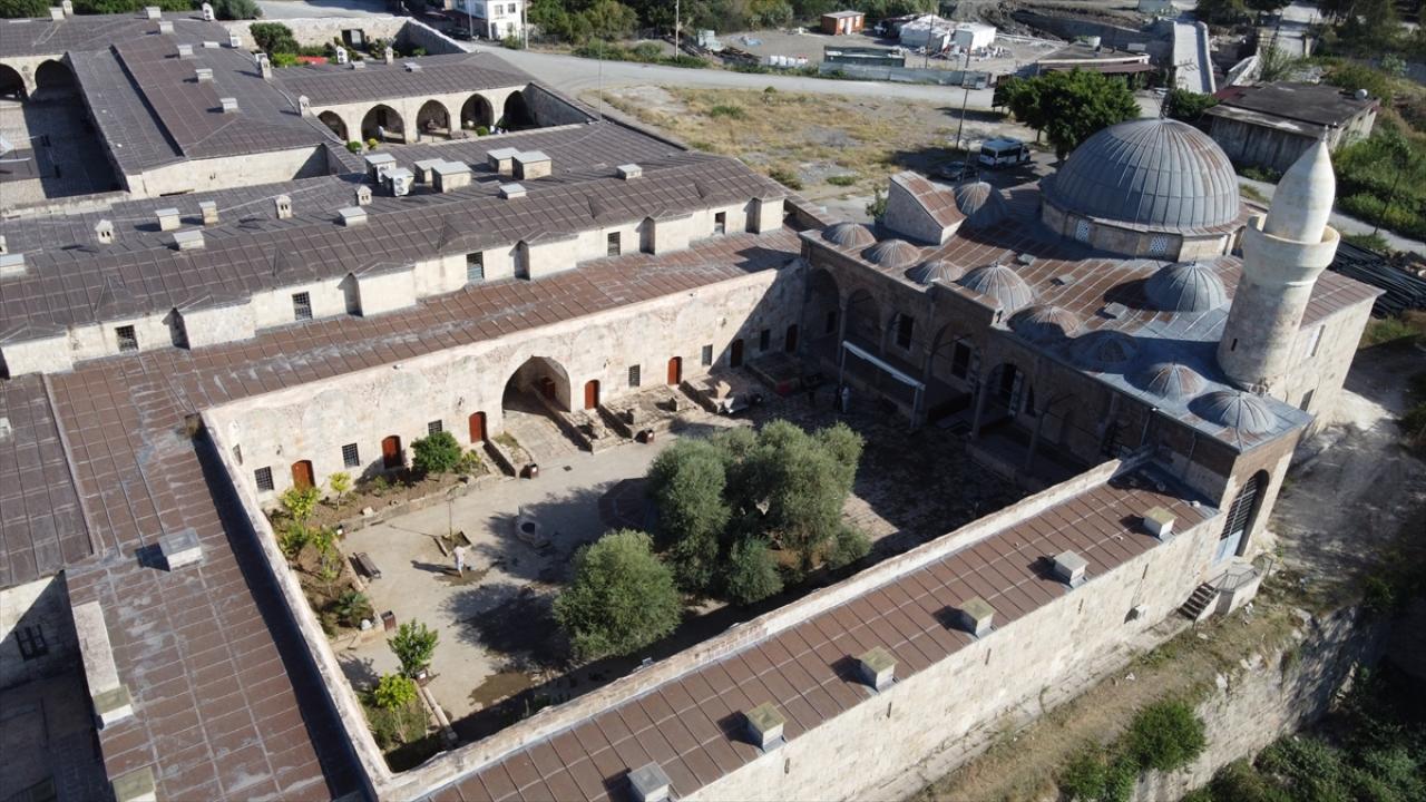 Tarihi caminin avlusundaki 1358 yaşındaki zeytin ağacında hasat zamanı