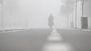 Düzce'de sis etkili oldu