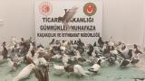Türkiye’ye giriş yapan tırda kaçak "güvercin" operasyonu