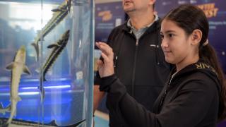 HAYTEKFEST 2025 sona erdi