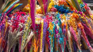 Kuru çiçekçilik sanatıyla baharın renkleri evlere taşınıyor