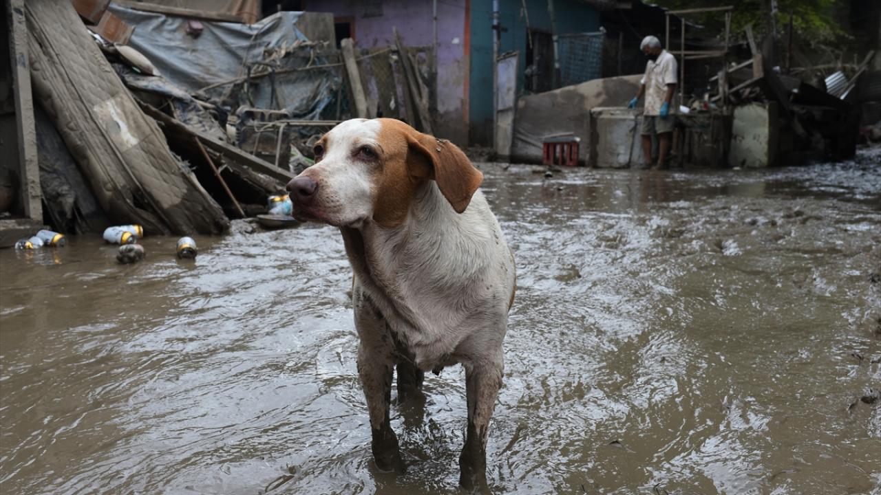 Meksika’da fırtına sonrası sel ve su baskınları yaşandı