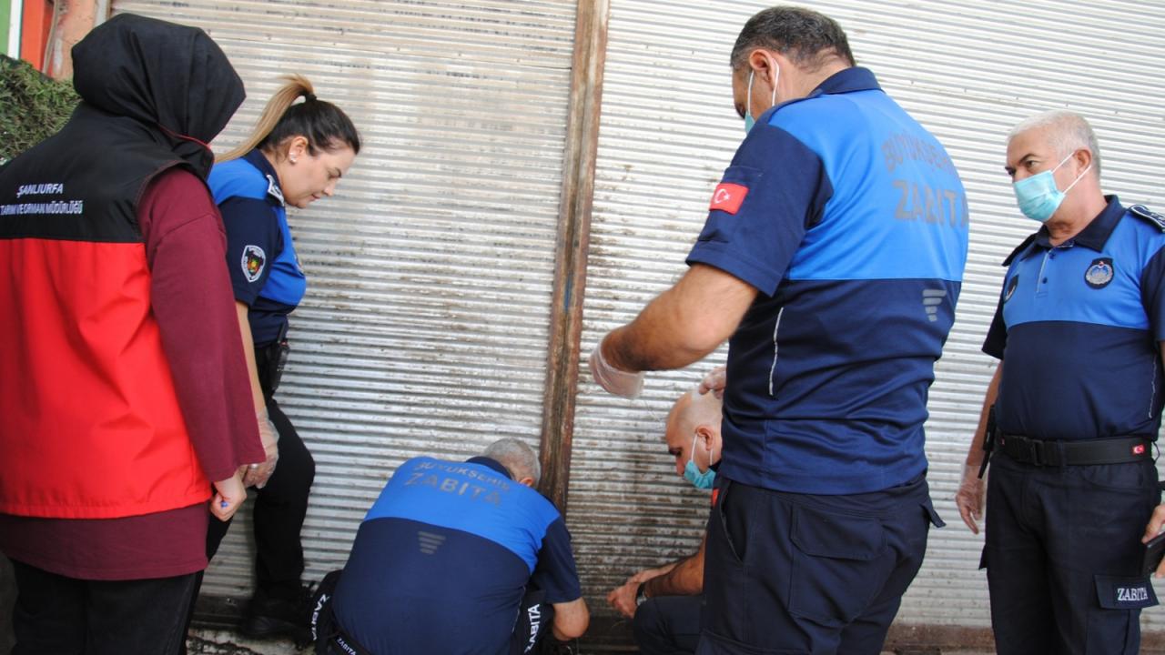 Şanlıurfa'da 1 ton bozuk et ele geçirildi