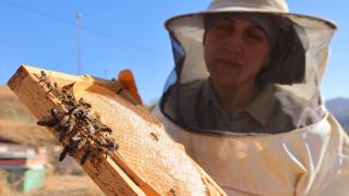 Üretim için şehirden köyüne dönerek arıcılığa başladı