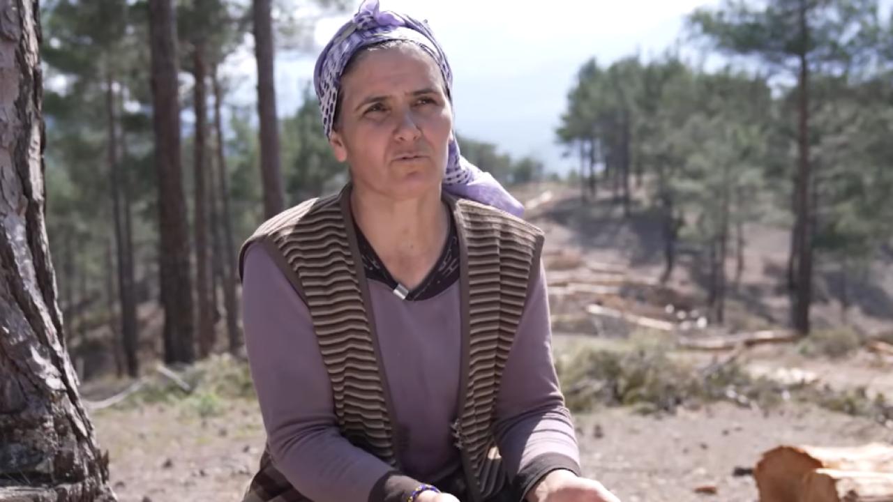 İşte bu benim hikayem 17. Bölüm