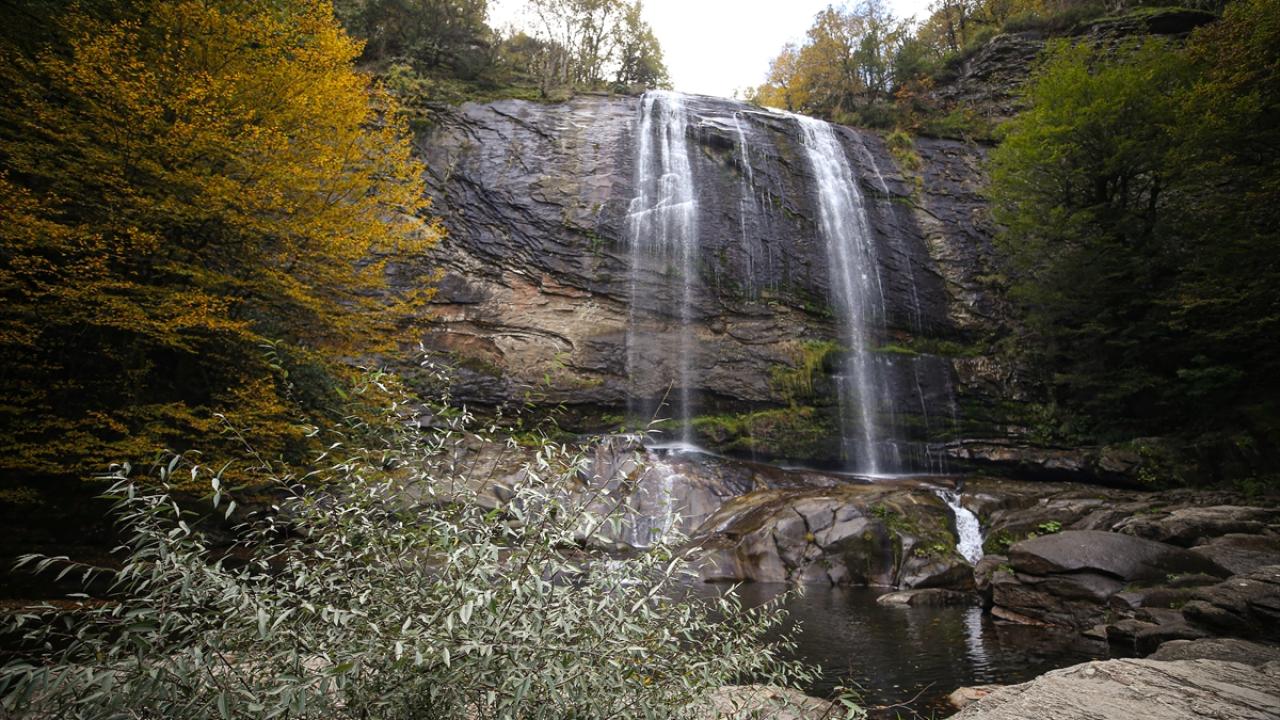 "Dünyanın her yerinden insanlar geliyor"