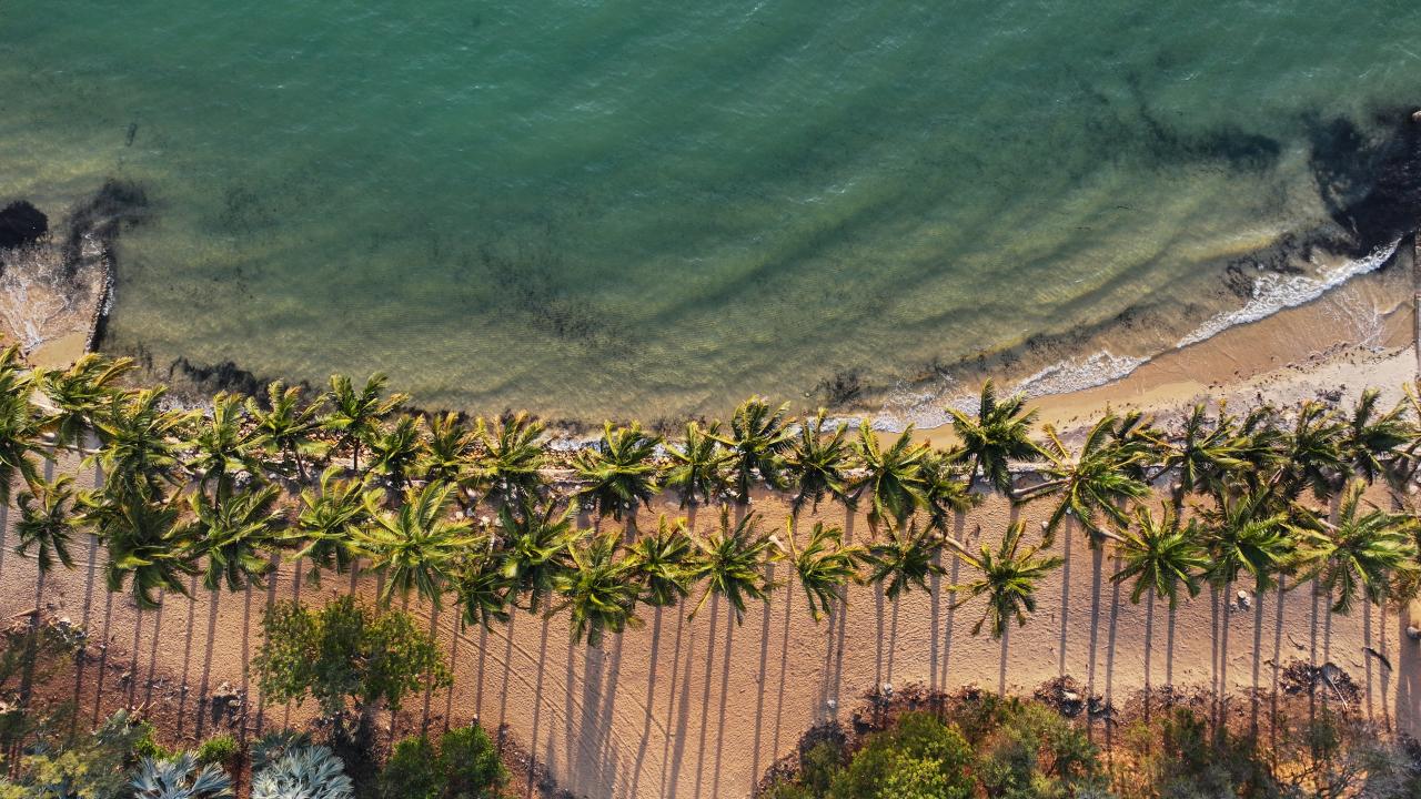 Madagaskar'ın balıkçı şehri: Toliara
