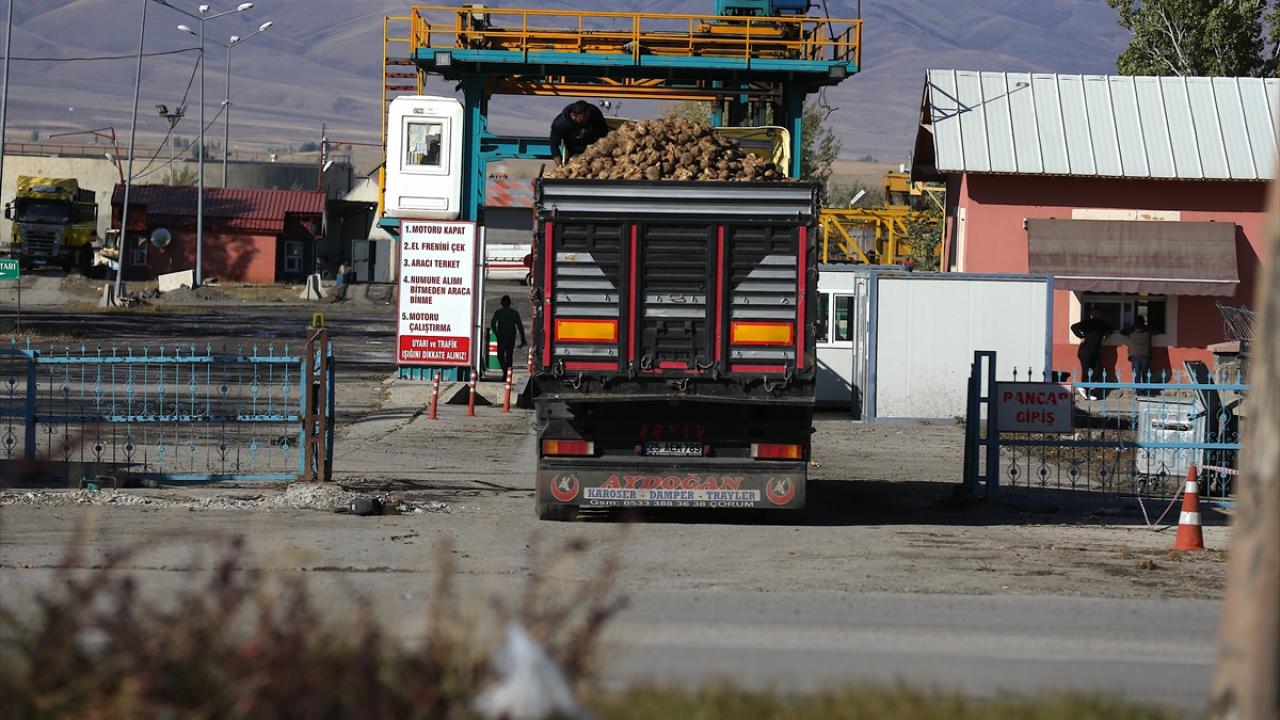 "Şeker pancarımız kaliteli ve polar oranı yüksek"