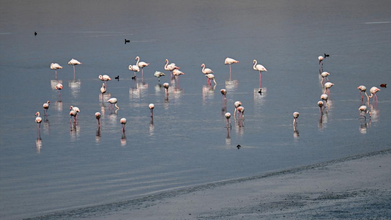 "Geçen yıl düşen her 10 damla yağışa karşın bu yıl dört damla yağış düşmüş"