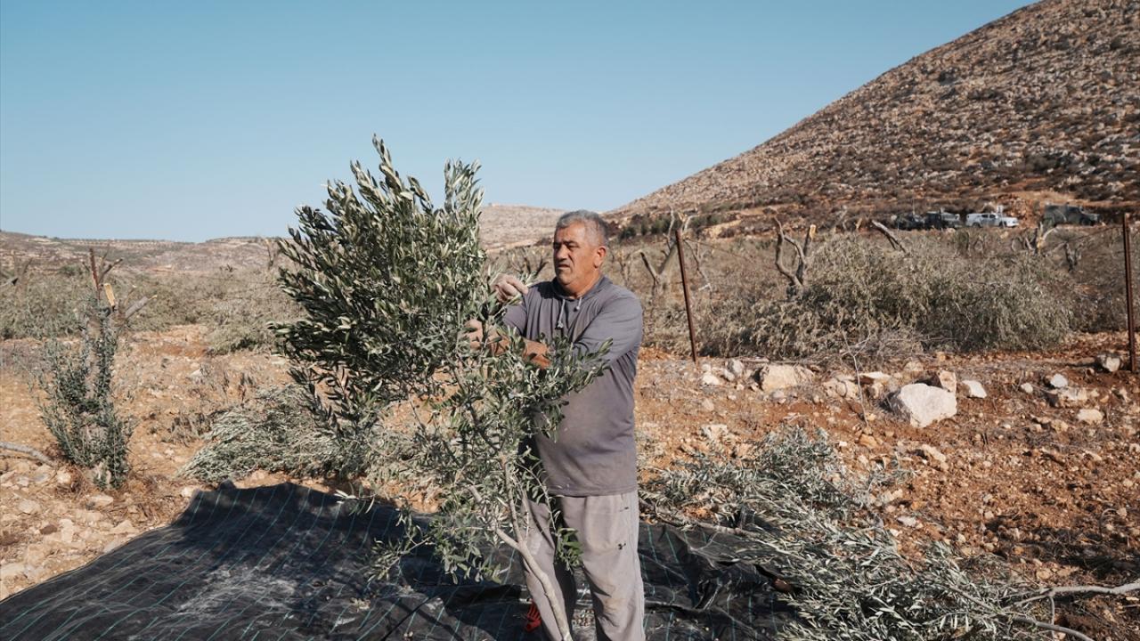 AA Filistin hasadını görüntüledi