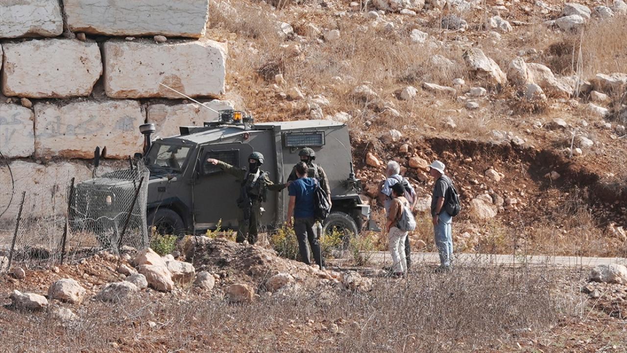 Fanatik gruplar, 1400 zeytin ağacını tahrip etti