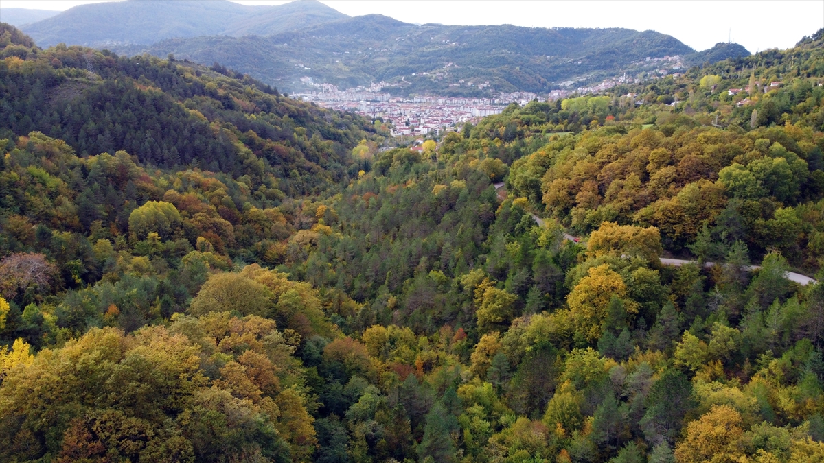 Sinop'ta sonbahar güzelliği seyirlik manzaralar sunuyor