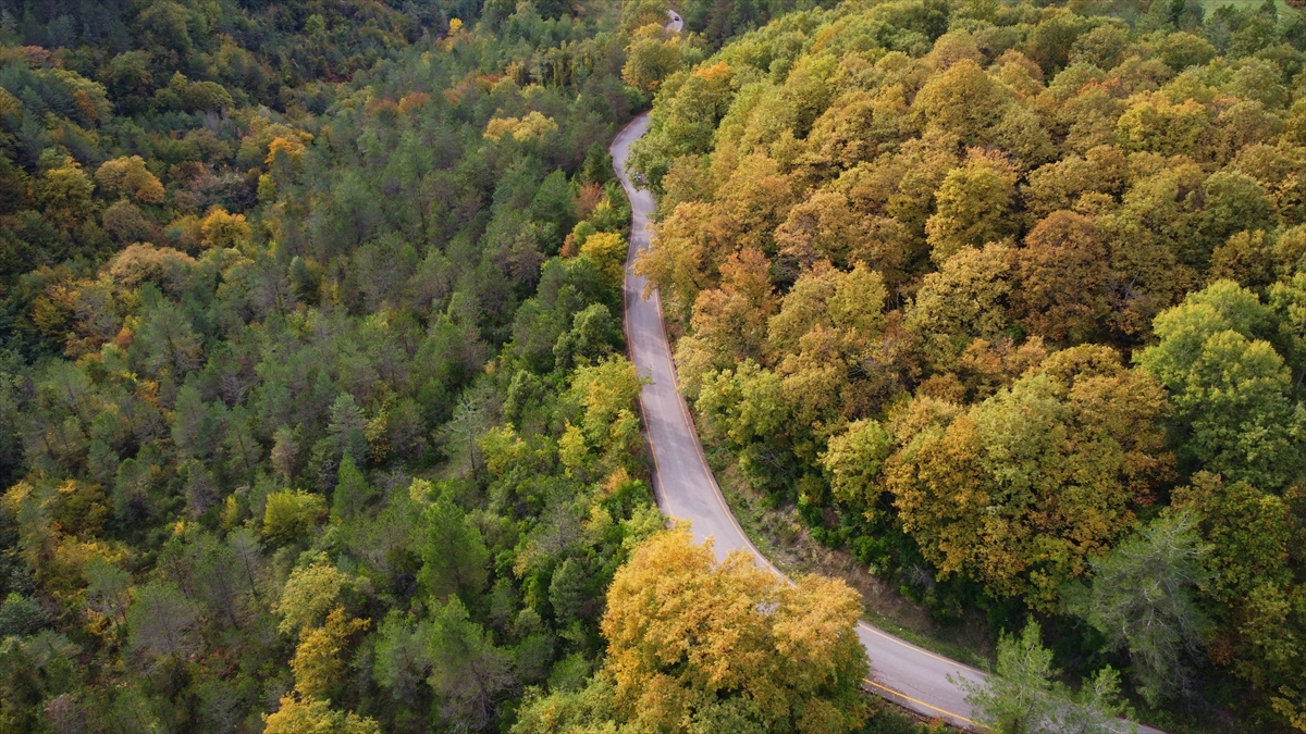 Sinop'ta sonbahar güzelliği seyirlik manzaralar sunuyor