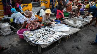 Madagaskar'ın balıkçı şehri: Toliara