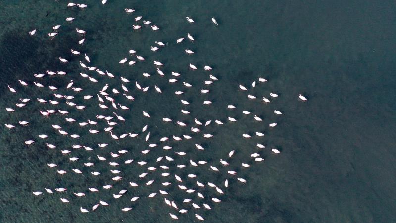 3039bfb9-a629-4910-b21f-8441b970d752