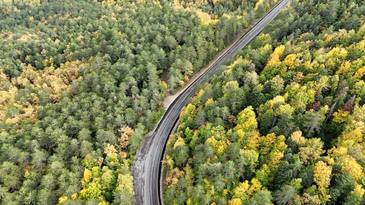 "Orman denizi" Karabük'te sonbaharın renkleri havadan görüntülendi