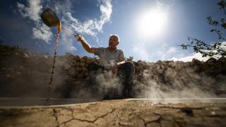 Mardin’de “mezrone” üzümü pekmeze dönüştürülüyor