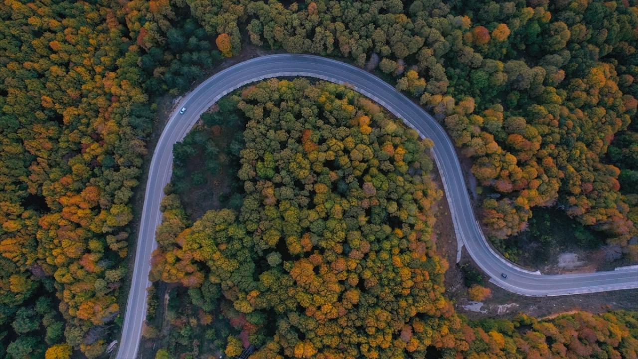 Uludağ'da sonbahar renkleri hakim oldu
