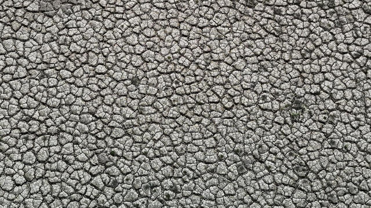 İstanbul'da barajlar alarm veriyor