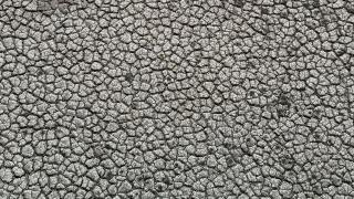 Seyhan Baraj Gölü'nde sular çekilince toprak çatladı