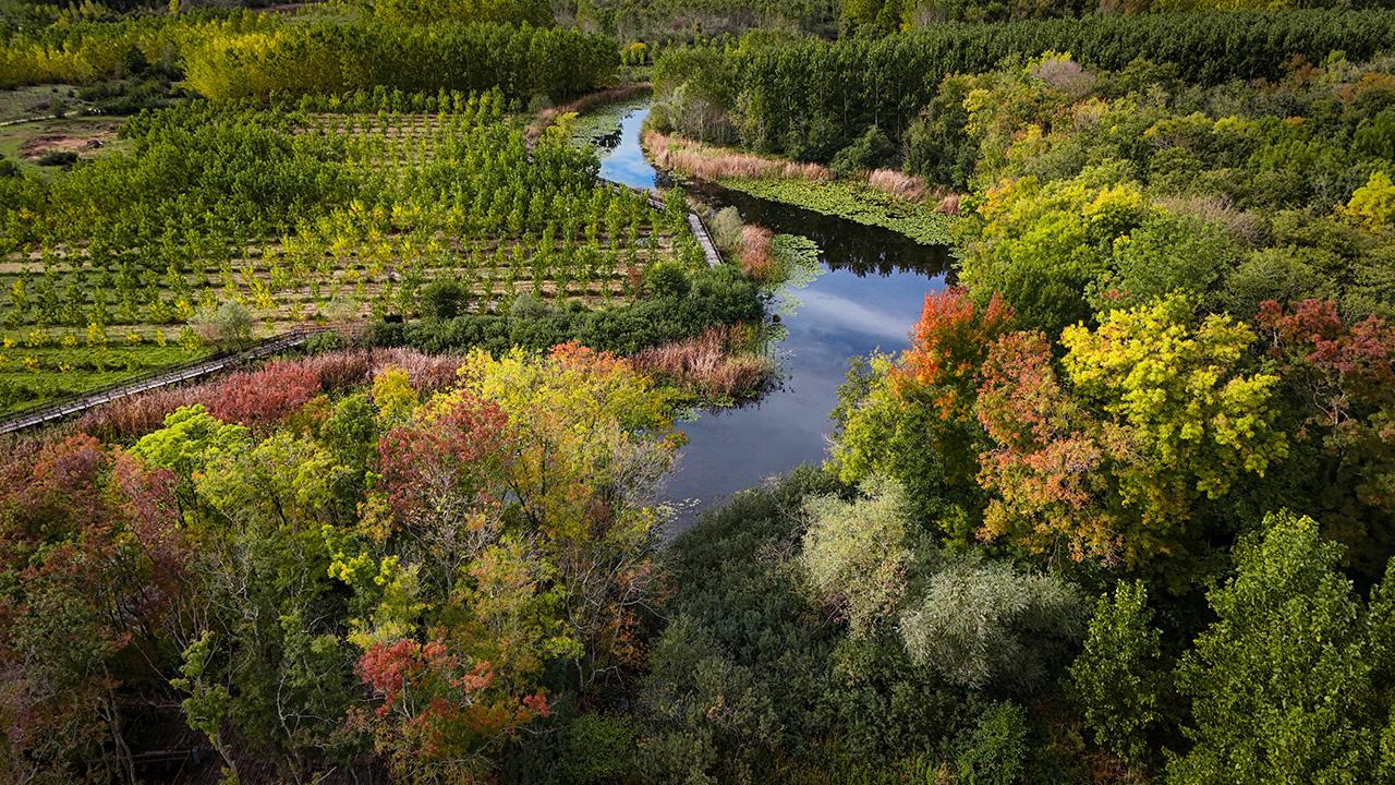 Büyük Melen Çayı havzası sonbahar renklerine büründü