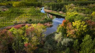 Büyük Melen Çayı havzası sonbahar renklerine büründü