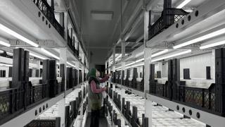 Trabzon'da doku kültürü laboratuvarında yılda yaklaşık 200 bin fidan üretiliyor