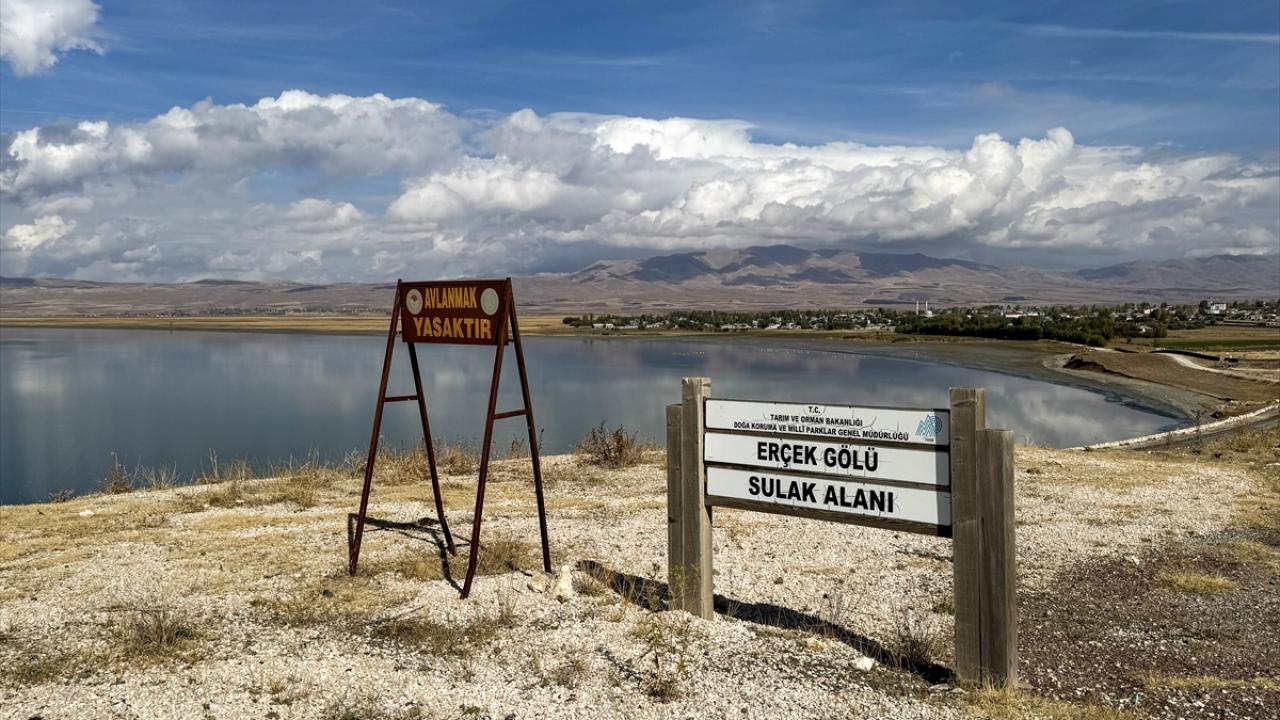 Van'daki Erçek Gölü 30 yılda 6 kilometrekare alan kaybetti