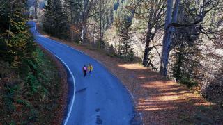 Hamsiköy oyuk ağaçlarıyla fotoğraf tutkunlarına alternatif sunuyor