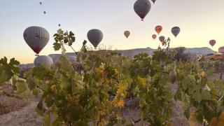 Sonbahar manzaraları Kapadokya'ya renk kattı