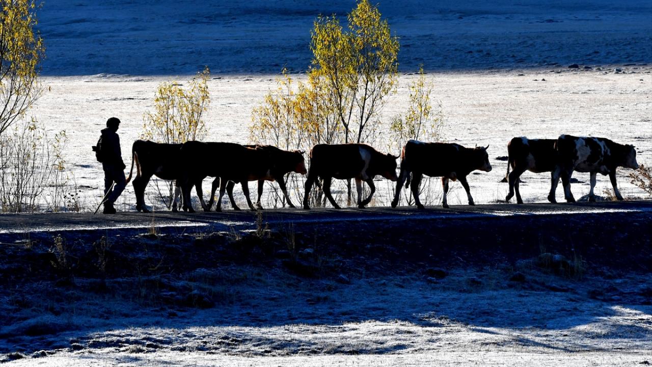 Kars'ta kar, soğuk hava ve kırağı