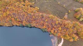 Sonbaharın en güzel tonları bir arada